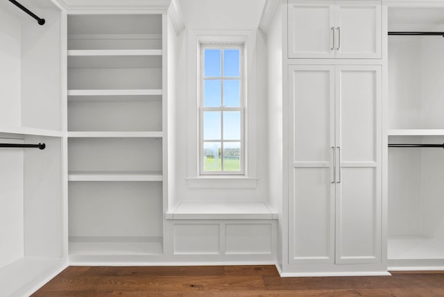 walk in closet featuring dark wood-type flooring