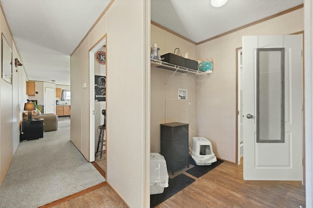 laundry room featuring crown molding and light hardwood / wood-style flooring