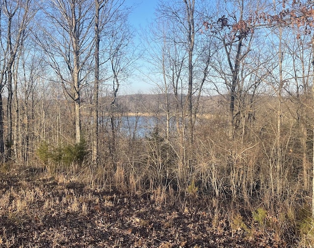 LOT91 Cumberland Shrs, Monticello KY, 42633 land for sale