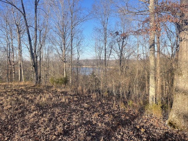 Listing photo 2 for LOT91 Cumberland Shrs, Monticello KY 42633