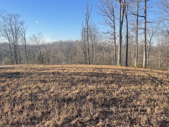 Listing photo 3 for LOT91 Cumberland Shrs, Monticello KY 42633