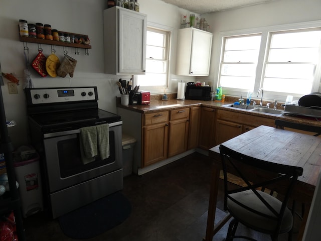 613 Little Hardwicks Creek Rd, Clay City, KY 40312 - kitchen featuring stainless steel electric stove, sink, and white cabinets