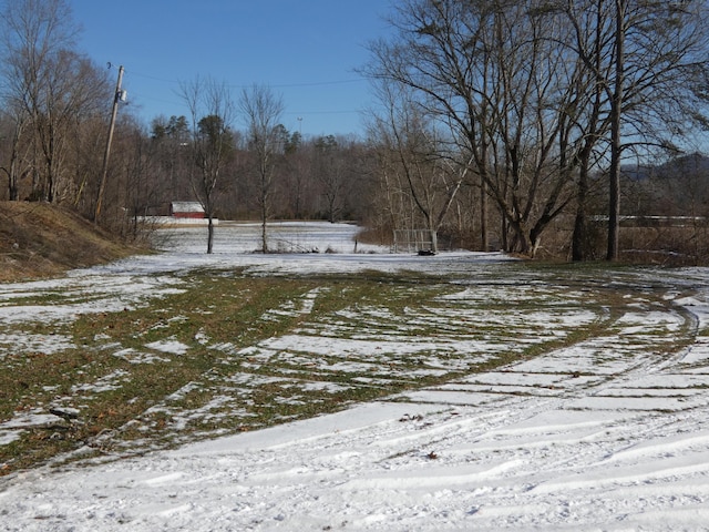 view of yard covered in snow