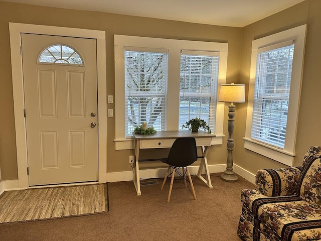 carpeted home office featuring a wealth of natural light