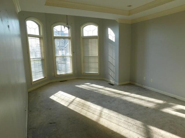 carpeted empty room with a raised ceiling