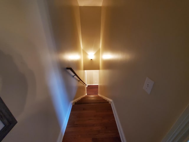 stairs featuring hardwood / wood-style floors