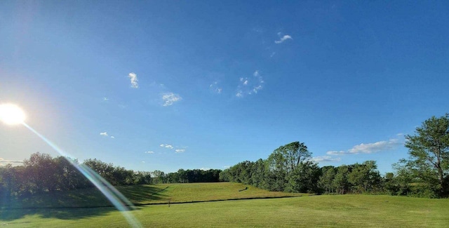 view of community featuring a yard