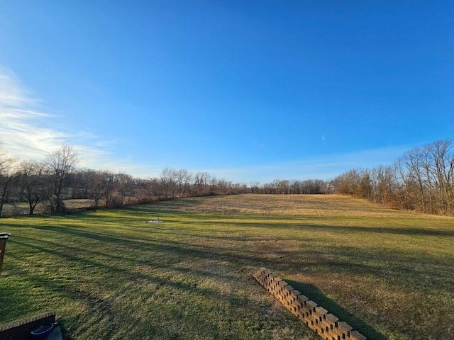 view of yard with a rural view