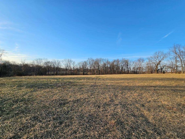 view of yard with a rural view