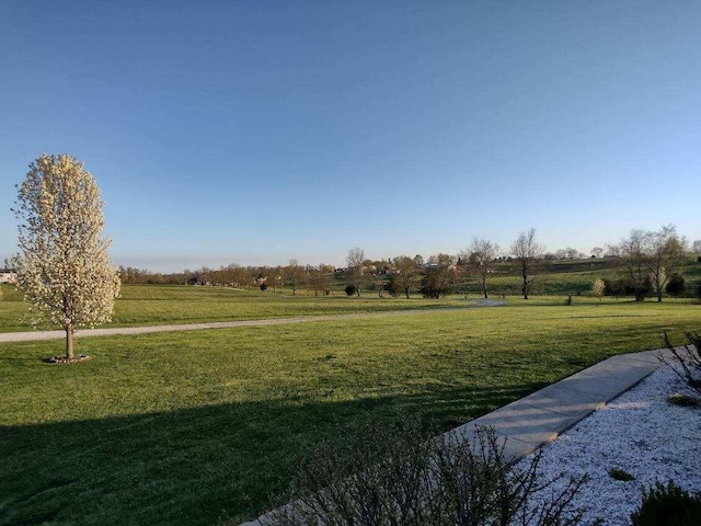 view of yard with a rural view