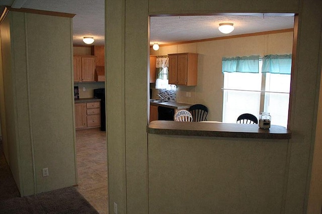 kitchen with tasteful backsplash, a textured ceiling, ornamental molding, dishwasher, and kitchen peninsula