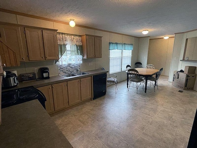 kitchen featuring crown molding, sink, and black appliances