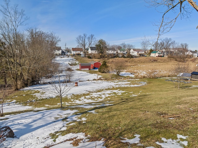 view of snowy yard