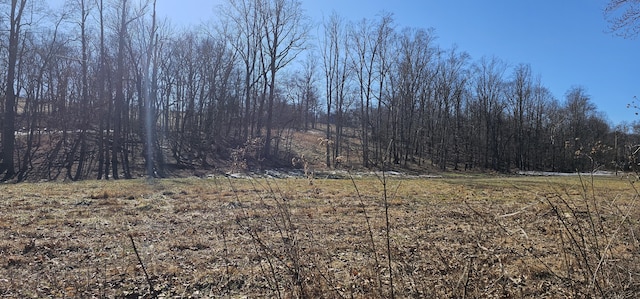 121314 Gilberts Creek Rd, Lawrenceburg KY, 40342 land for sale