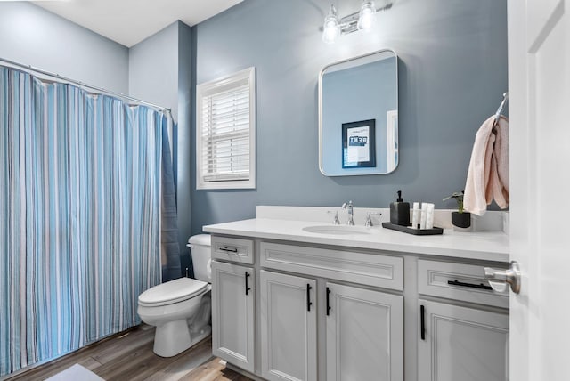 bathroom with vanity, wood-type flooring, and toilet