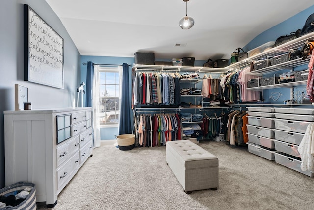 spacious closet with light carpet