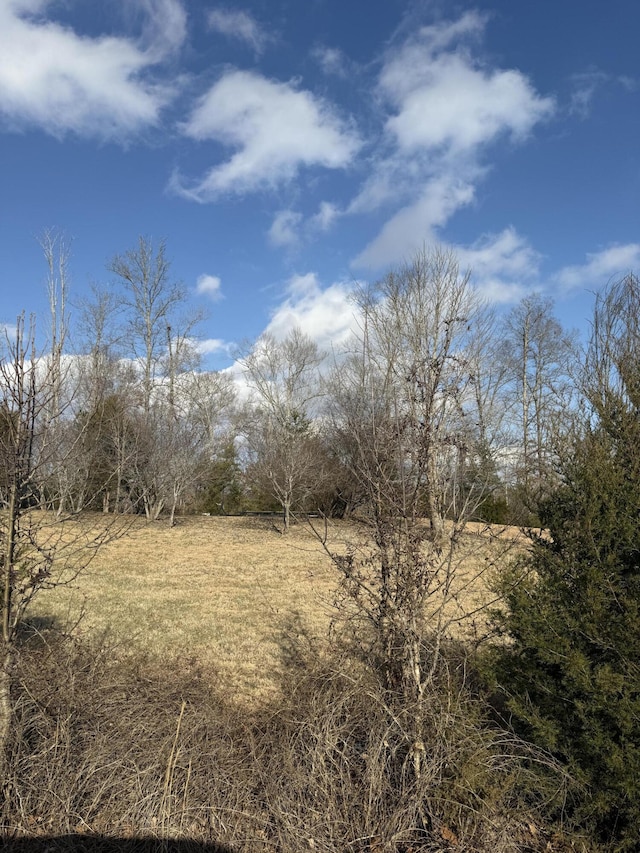 Listing photo 3 for LOT17 Wooldridge Rd, Jamestown KY 42629