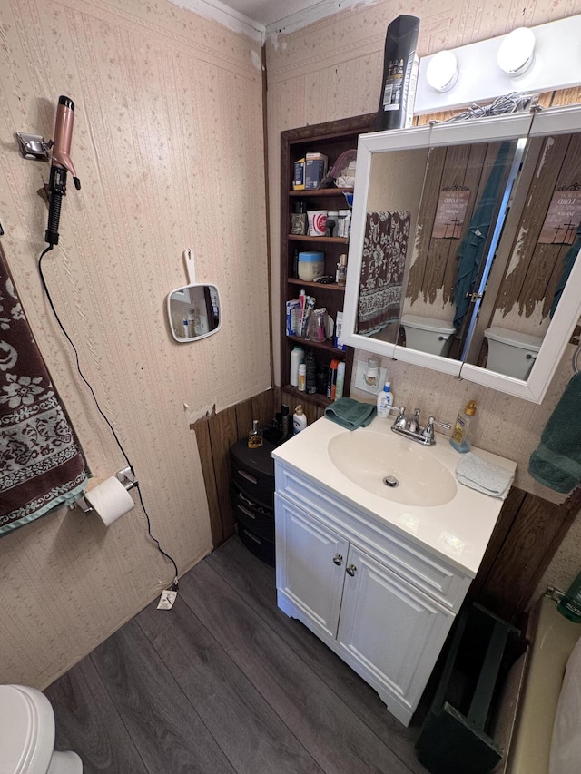 bathroom featuring vanity, wood-type flooring, and toilet