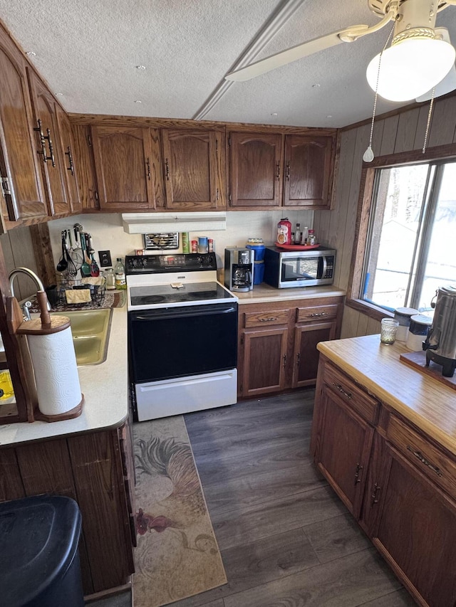 kitchen featuring electric stove, dark hardwood / wood-style floors, sink, and a textured ceiling