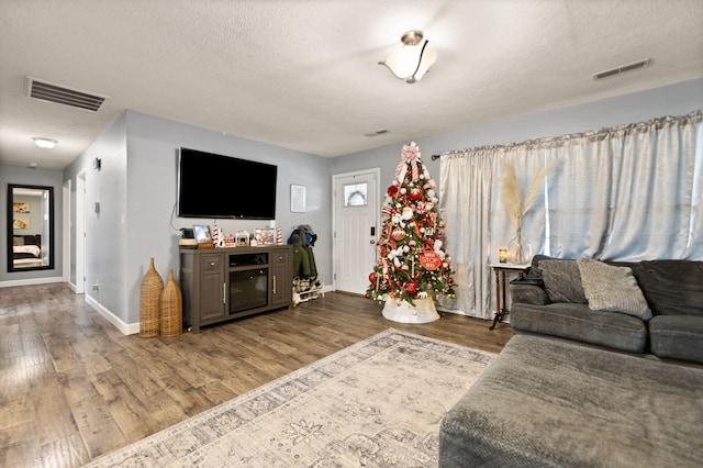 living room featuring hardwood / wood-style floors and a textured ceiling