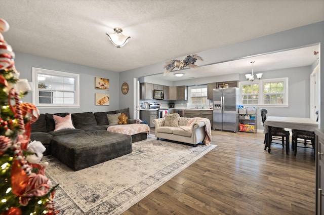 living room featuring sink, a chandelier, a textured ceiling, and dark hardwood / wood-style flooring