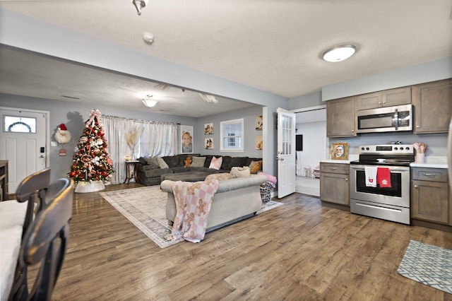 kitchen with stainless steel appliances and dark hardwood / wood-style flooring