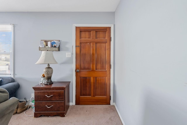 interior space with light colored carpet