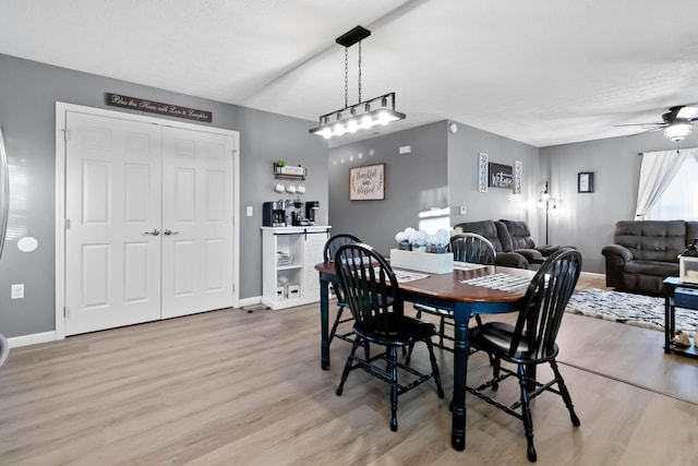 dining room with ceiling fan and light hardwood / wood-style flooring