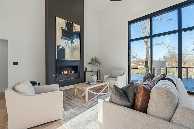 living room with a glass covered fireplace and wood finished floors