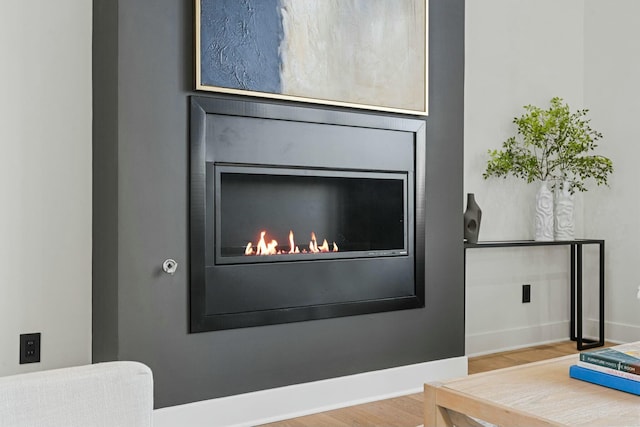 details featuring wood finished floors, a lit fireplace, and baseboards