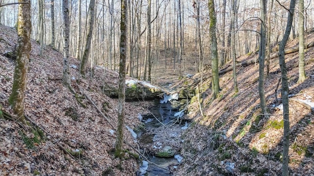 view of landscape