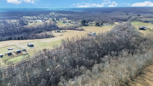 drone / aerial view with a rural view