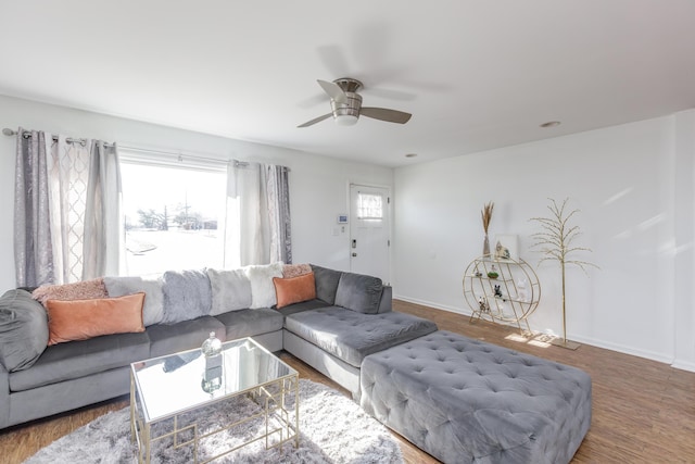 living room with hardwood / wood-style flooring and ceiling fan