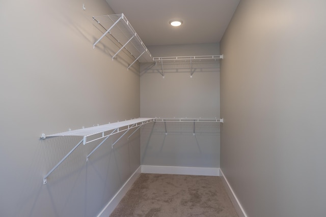 walk in closet with carpet flooring