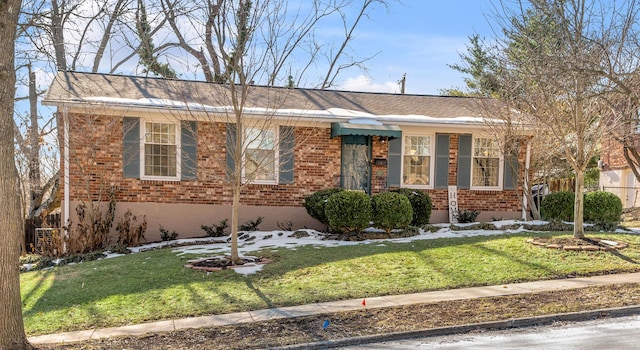 ranch-style home featuring a front lawn