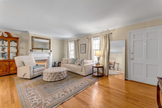 living room with wood-type flooring and crown molding