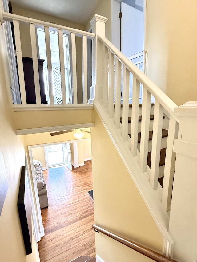 stairs with hardwood / wood-style flooring