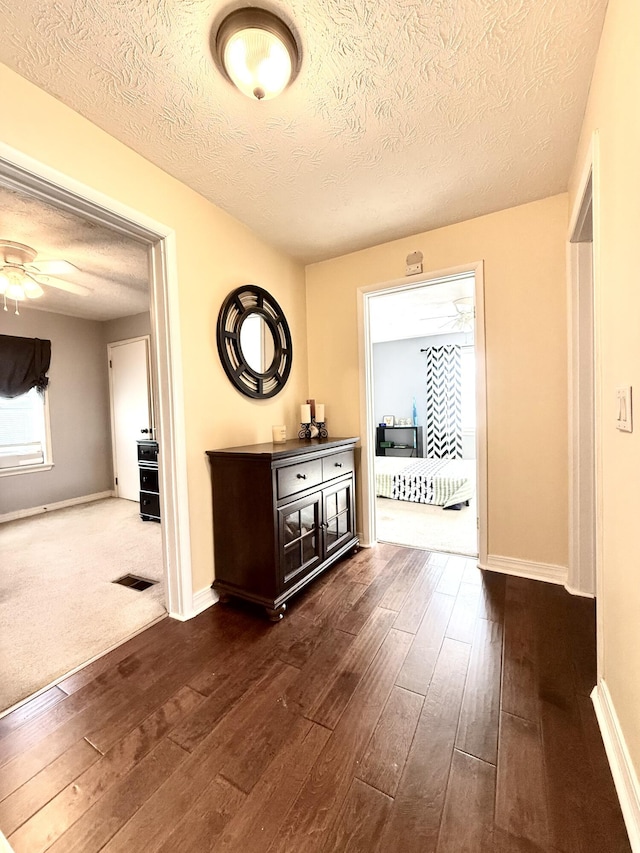 428 Columbia Ave, Monticello, KY 42633 - hallway featuring a textured ceiling, a healthy amount of sunlight, dark wood-style floors, and baseboards