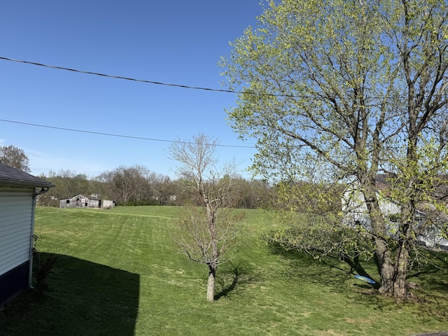 428 Columbia Ave, Monticello, KY 42633 - view of yard