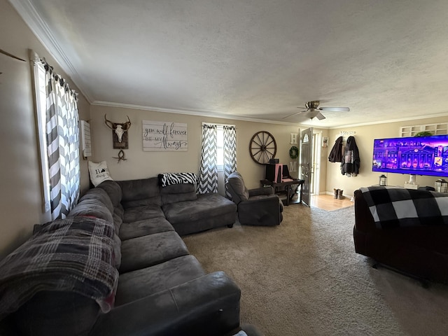 living room featuring crown molding, carpet, and a textured ceiling