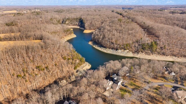 bird's eye view featuring a water view and a wooded view
