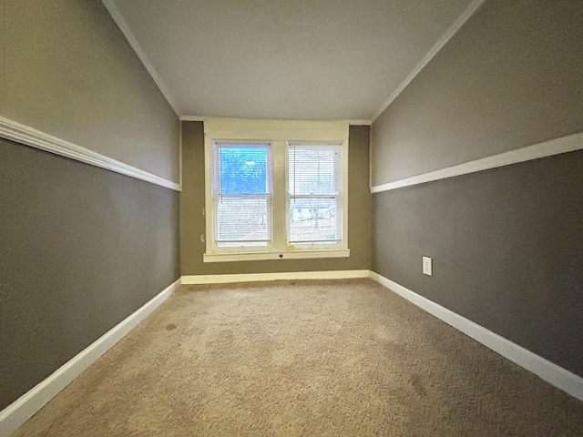 unfurnished room with ornamental molding and carpet flooring