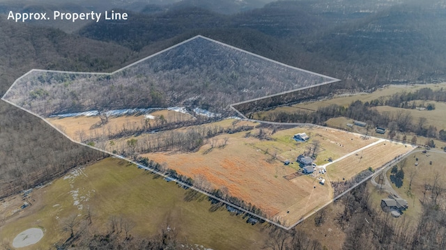 bird's eye view featuring a rural view