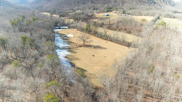 drone / aerial view featuring a mountain view