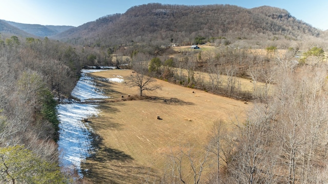 aerial view featuring a water and mountain view