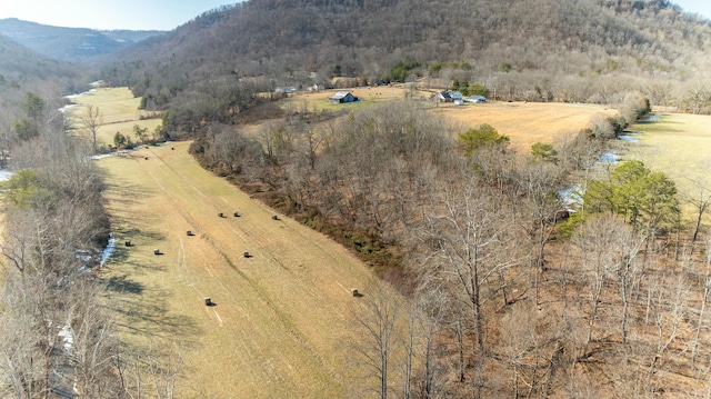 aerial view featuring a rural view and a mountain view