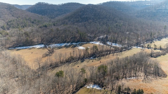 view of mountain feature