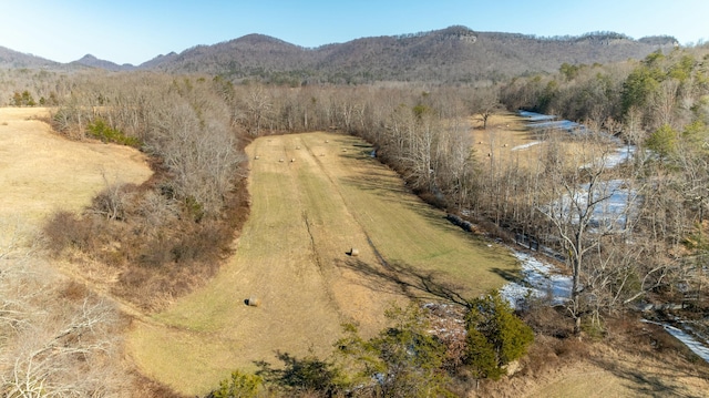 drone / aerial view with a mountain view