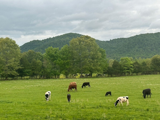 view of community with a mountain view and a rural view