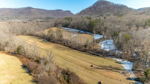 drone / aerial view featuring a mountain view